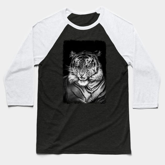 PANTHERA TIGRIS Baseball T-Shirt by MiroDesign